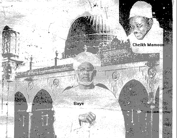 image15 mame  baye